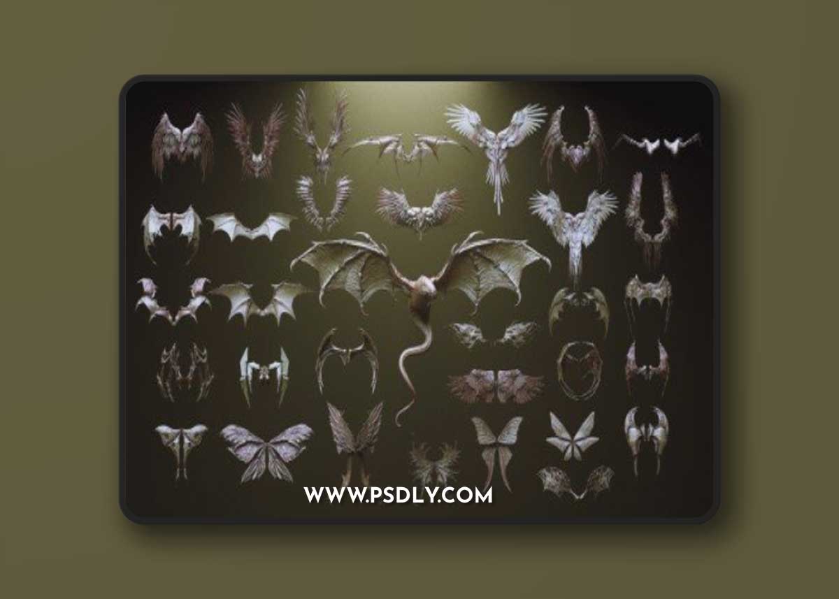 Artstation - Wings - 33 Character & Creature Wings