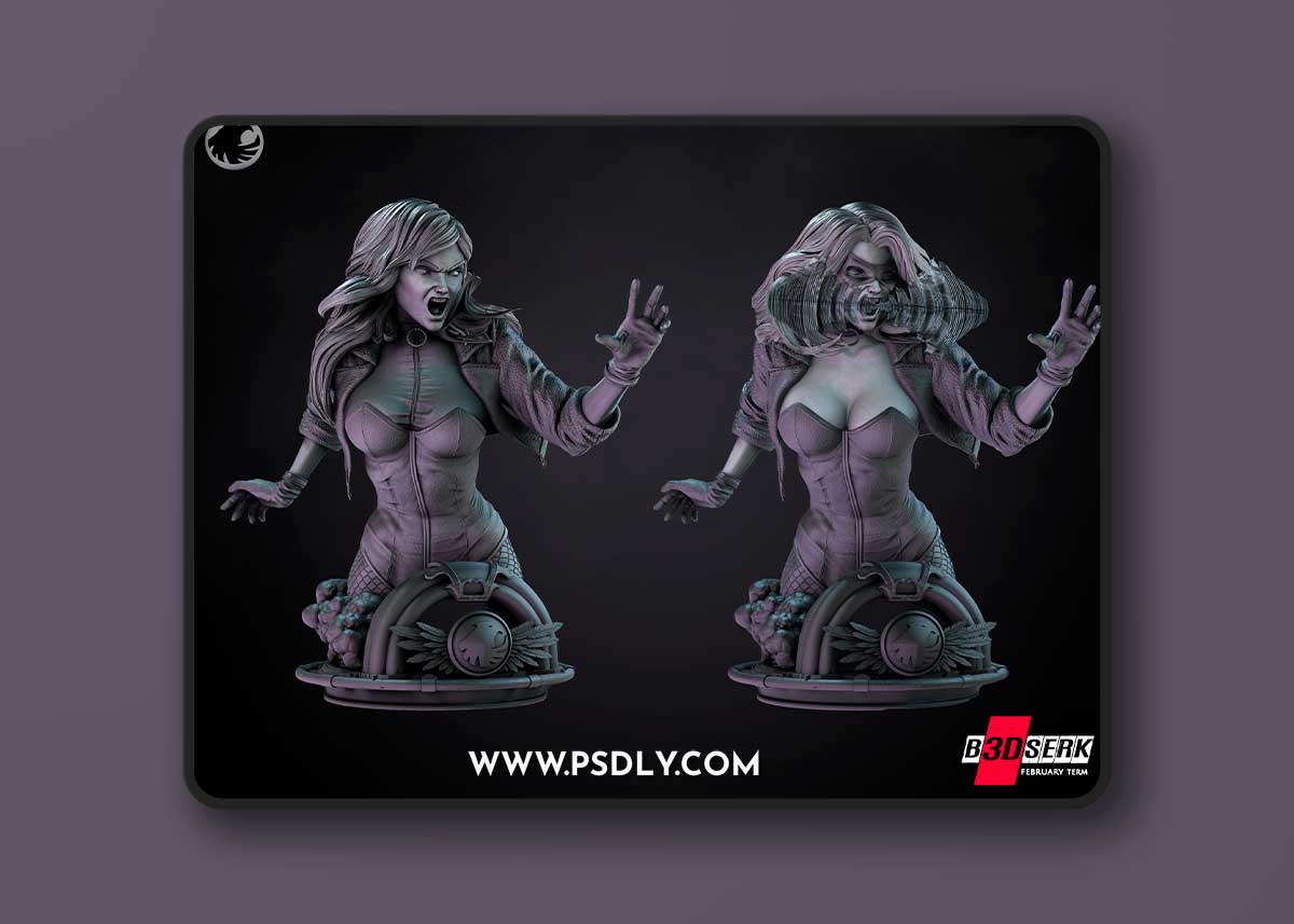 B3DSERK - Black Canary Bust – 3D Print Modelv
