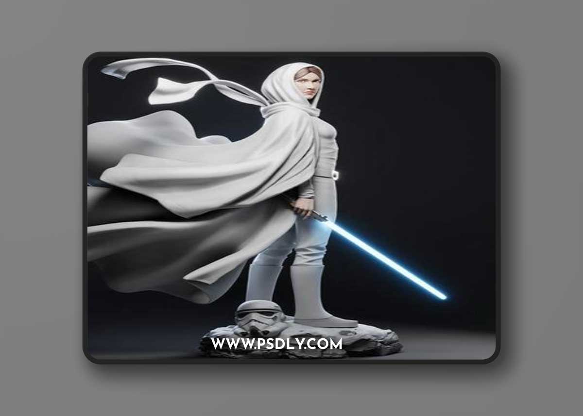 Ca 3d Studios - Leia – 3D Print Model