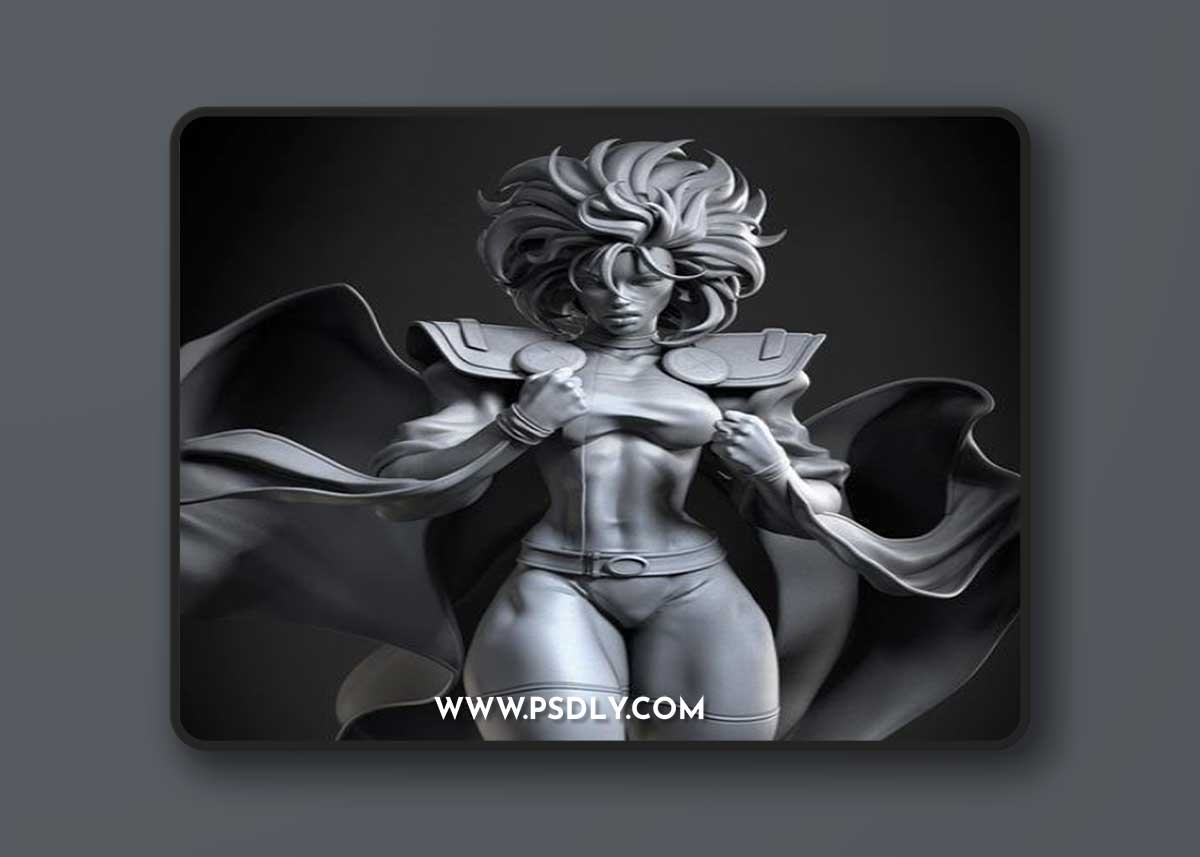 Ca 3d Studios - Storm – 3D Print Model