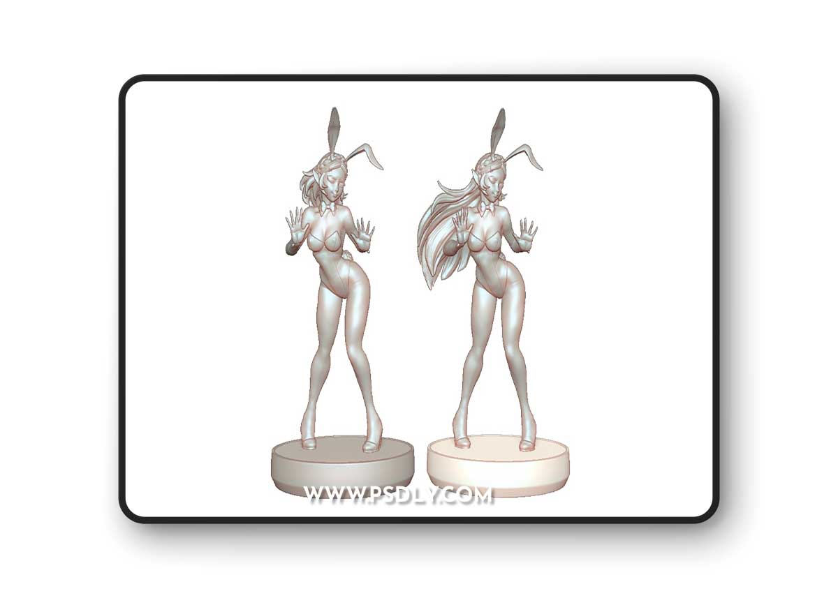 Dale Zelda Dale and Zelda Bunny - Totk and Botw – 3D Print Model