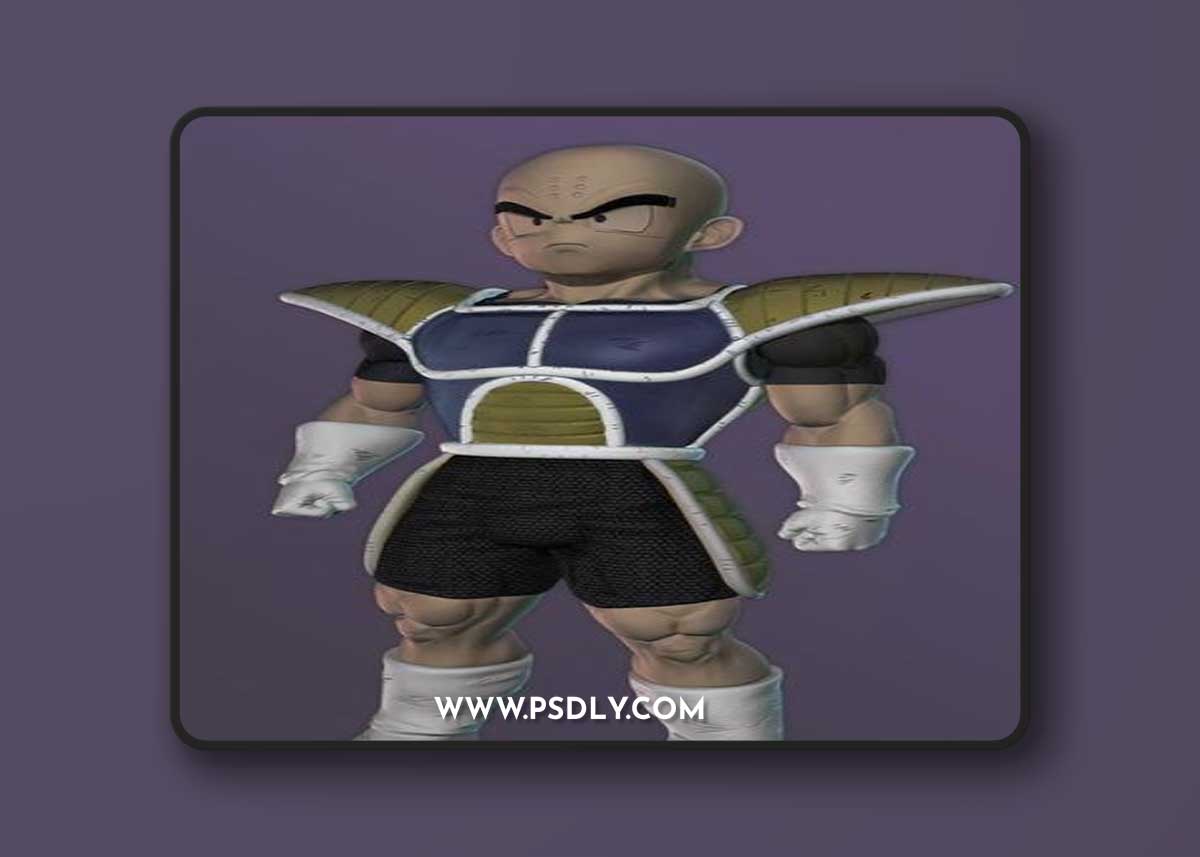Krillin Namek – 3D Print Model