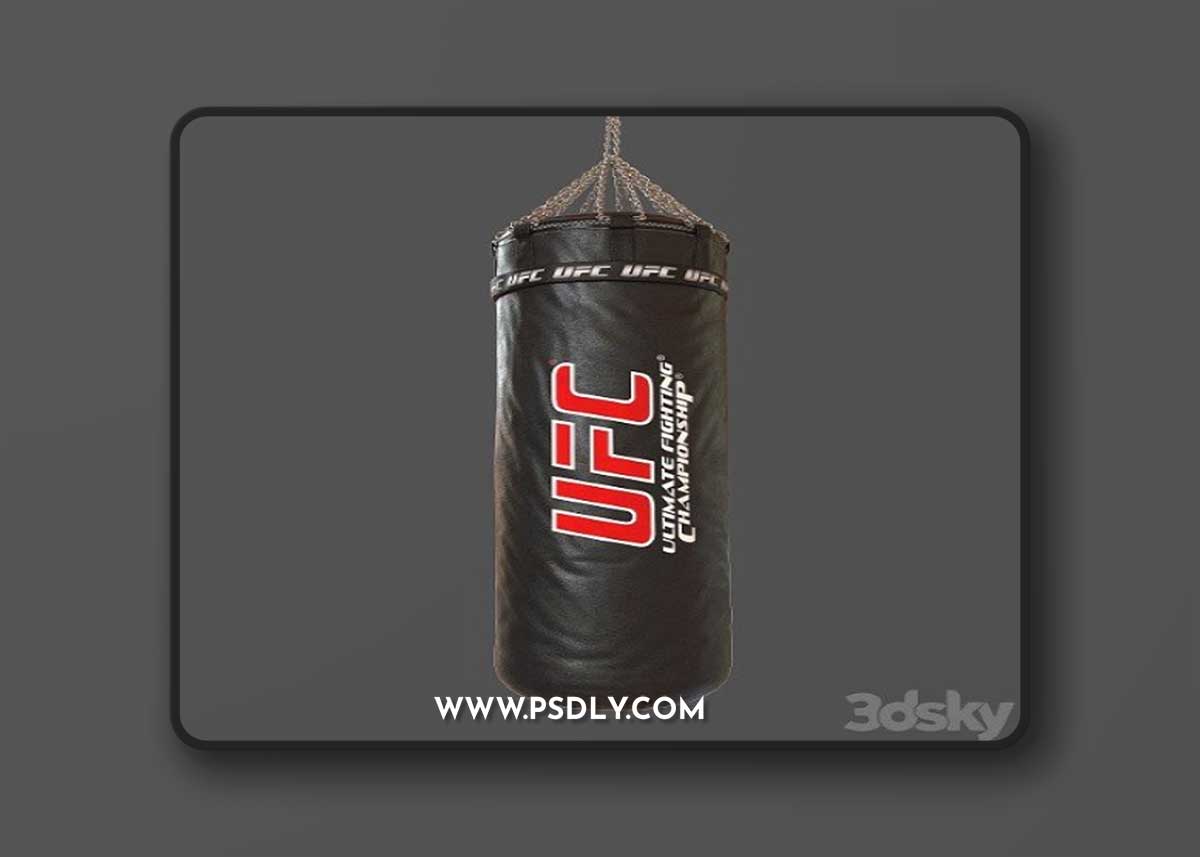 Pro 3DSky - UFC Boxing Bag