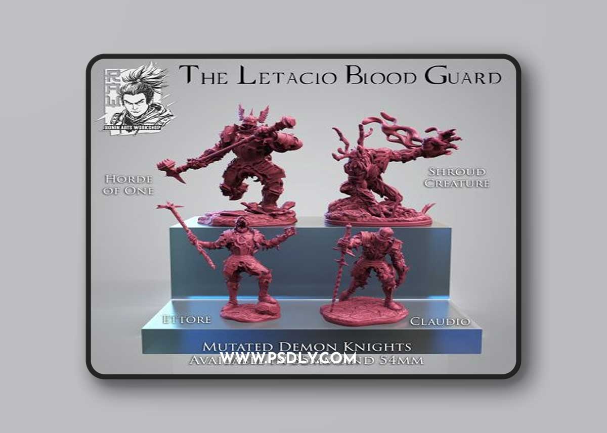 Ronin Arts Workshop - The Letacio Blood Cuard – 3D Print Model