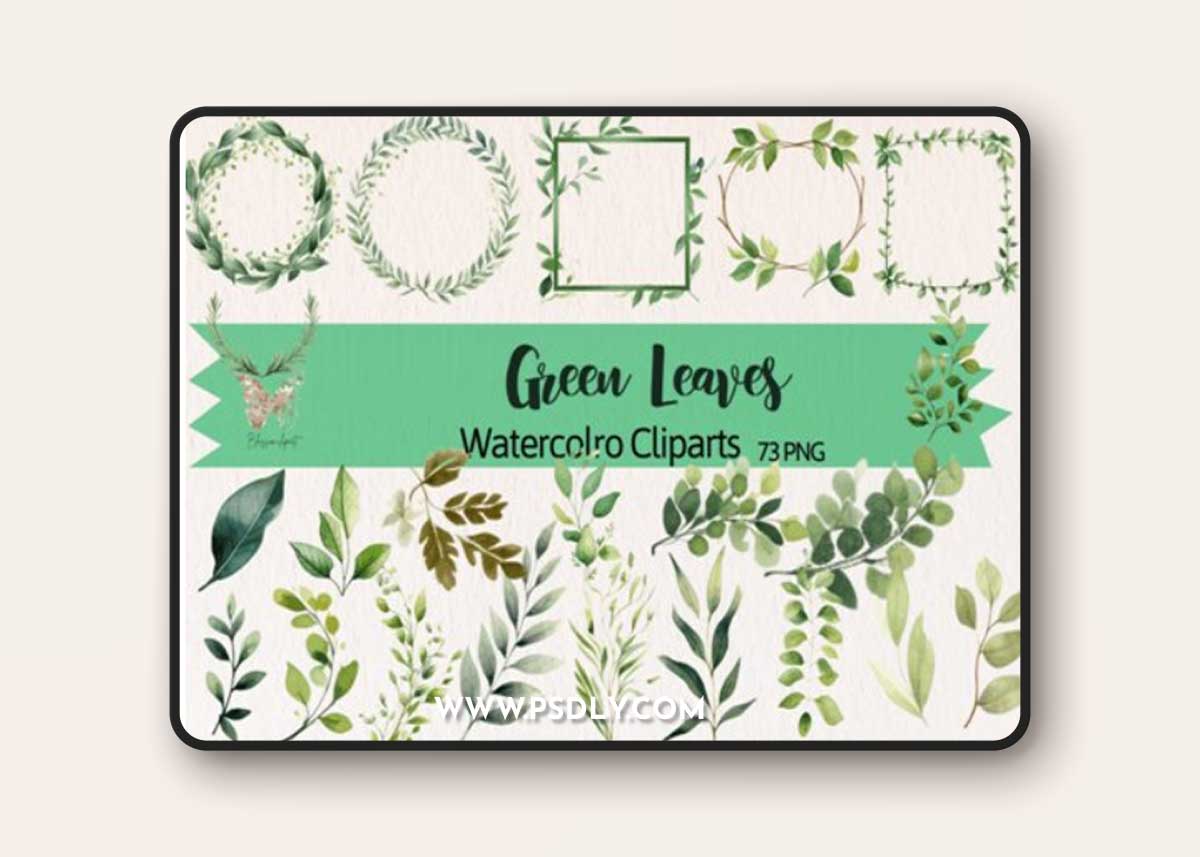 Watercolor Green Leaves PNG Clipart