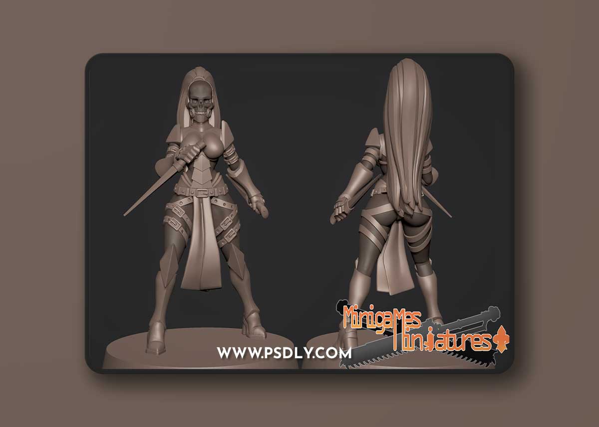 Minigames Miniatures - Assasins Anime Figurines May 2023 – 3D Print Model