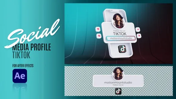 Videohive Social Media Profile - TikTok 48320028