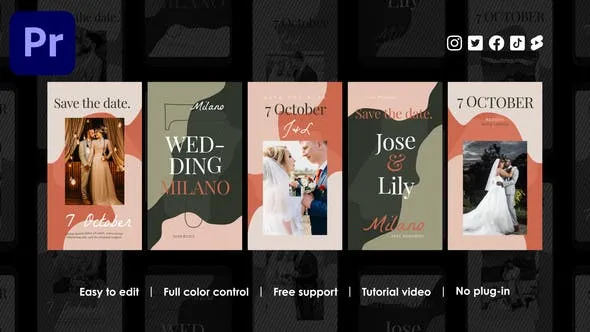 Videohive Marriage Instagram Reels 48694999