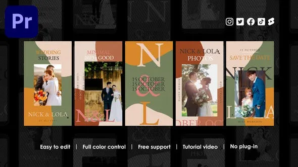 Videohive Wedding Instagram Reels 48542700