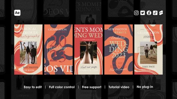 Videohive Wedding Instagram Reels 48774822