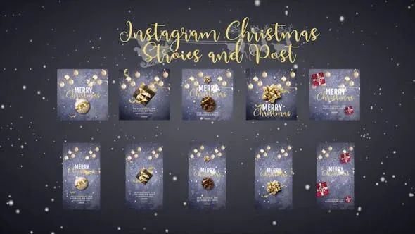 Videohive Instagram Posts 49836738