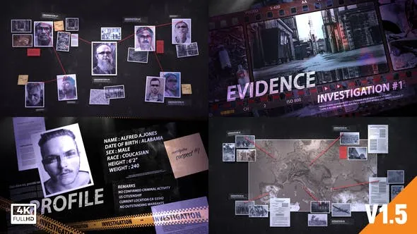 Videohive Investigation Detective Pack 25102603