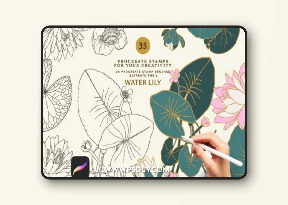 Water Lily Procreate Brushes