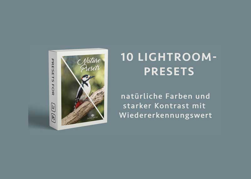 Kellerfoto - Nature Presets