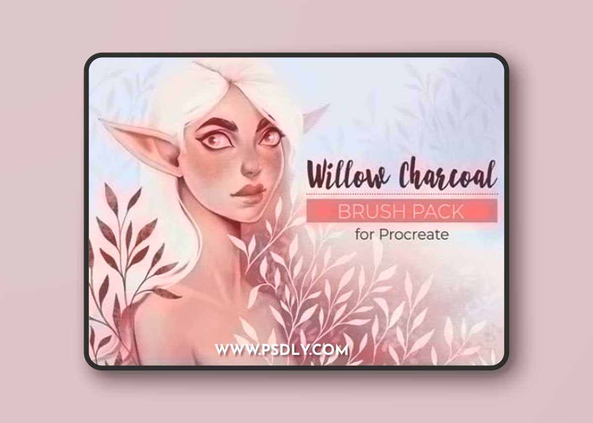 Willow Charcoal Brush Pack For Procreate