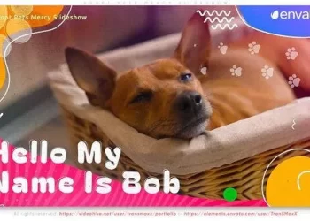 Videohive Adopt Pets Mercy Slideshow 53448521