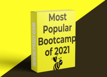 StockBee – Bootcamp 2021