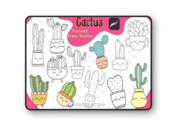 Cute Cactus Stamp Brushes for Procreate