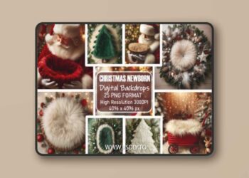 Christmas Newborn Digital Backdrops