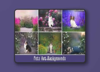 Pets Art Backgrounds