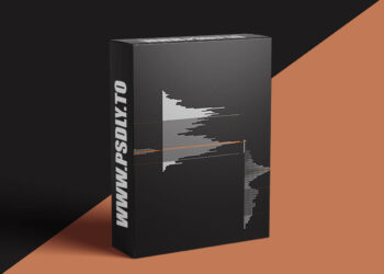 Price Action Volume Trader – Trading with Market & Volume Profile