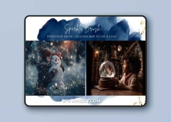 Finding North Education - Sparkle Brush Photoshop Brush