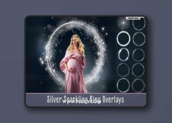 Silver Sparkling Ring Overlays 3D Model