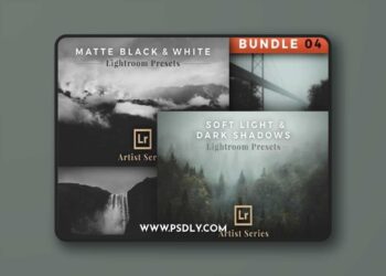 Artist Series – Lightroom Bundle 04 2782619