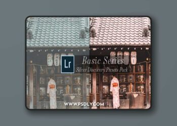Leica-Review - Basic Silver Discovery Lightroom Presets