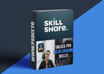 Master Color Correction & Grading in DaVinci Resolve 19