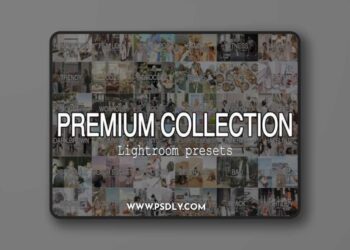 Premium Collection 100 Lightroom Presets