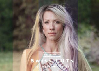 Theo Miesner Swiss Video LUTs