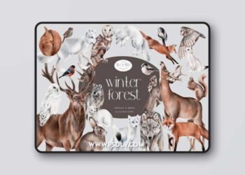 Winter Forest Animals and Birds PNG 18762380