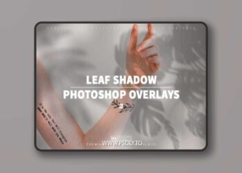 100 LEAF SHADOW OVERLAYS