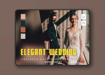 6 Elegant Wedding Lightroom and Photoshop Presets