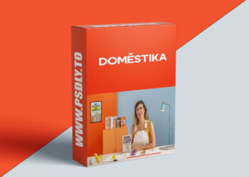 Domestika - Book Proposal Writing: How to Get Published