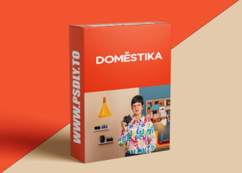 Domestika - Introduction to Visual Journalism