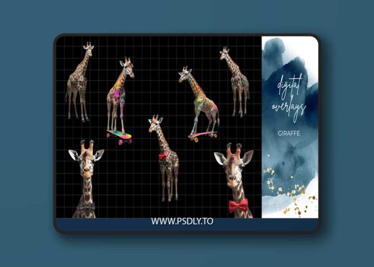 Finding North Education - Giraffe Digital Overlays 1 Finding North Education - Giraffe Digital Overlays