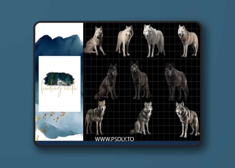 Finding North Education - Wolf Digital Overlays 1 Finding North Education - Wolf Digital Overlays