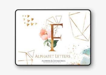 Floral alphabet letters. Geometrics 2542022