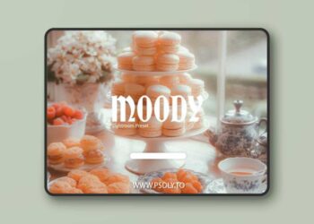 Moody - Dramatic Mobile & Desktop Lightroom Presets
