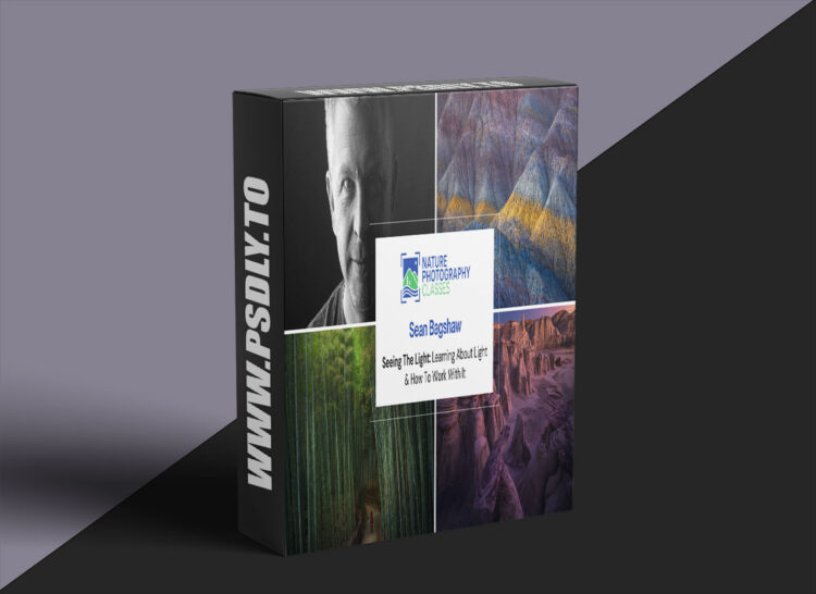 Sean Bagshaw - Seeing The Light: Learning About Light & How To Work With it 1 Seeing The Light: Learning About Light & How To Work With it