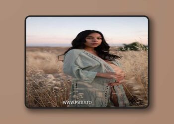 Aspen Dawn - Pack 04 Presets