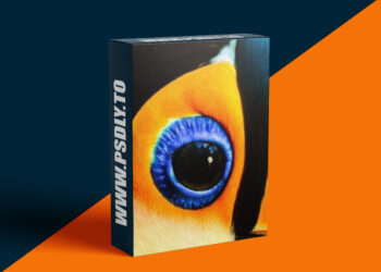 CreativeLive - The Art of Photographing Birds