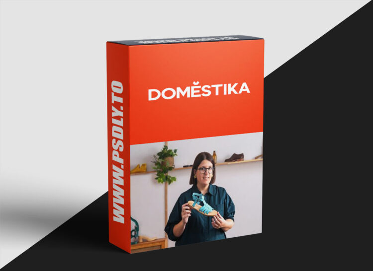 Domestika – Artisanal Leather Shoemaking for Beginners 1 Domestika - Artisanal Leather Shoemaking for Beginners