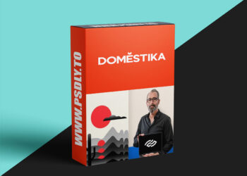Domestika - Artistic Resources for Powerful Branding Design