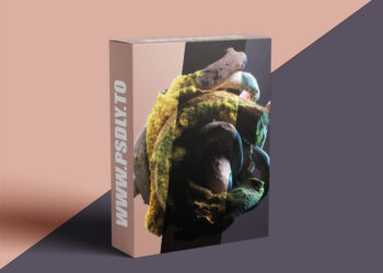 Entagma - Rendering 101