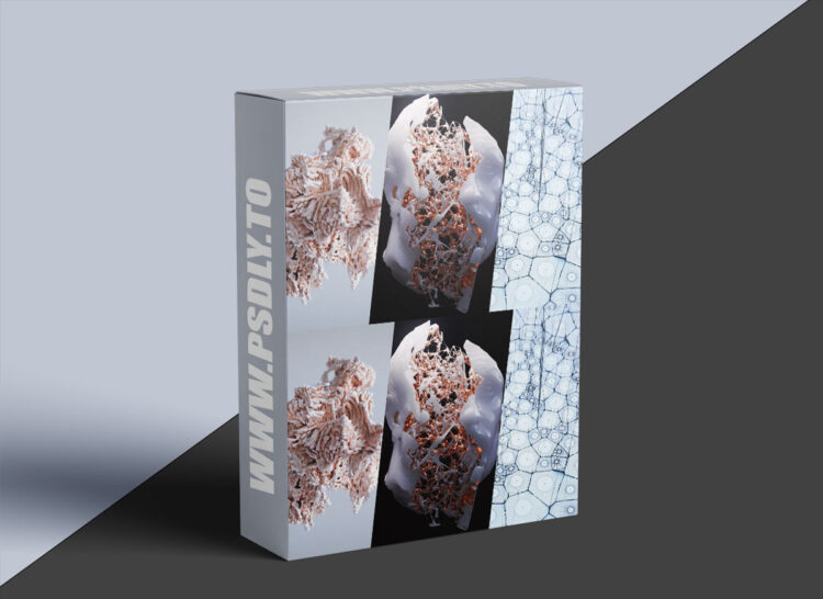 Entagma - Volumes 101 1 Entagma - Volumes 101