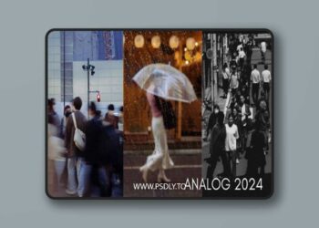 Faizal Westcott - Analog 2024 (LR Desktop & Mobile)