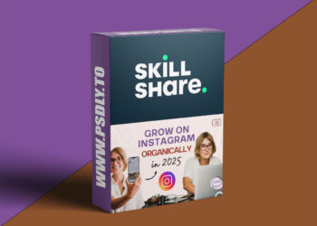Grow on Instagram Organically in 2025